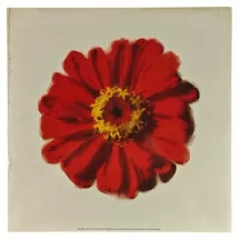 Nyomat 30x30cm – Petales Rouges II