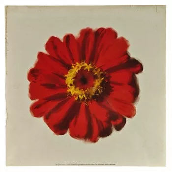 Nyomat 30x30cm – Petales Rouges II