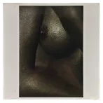 Nyomat reprodukció 29.5x29.5cm – Beauty in the Detail