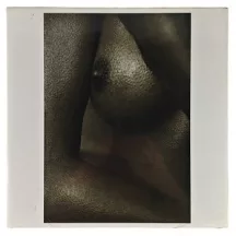 Nyomat reprodukció 29.5x29.5cm – Beauty in the Detail