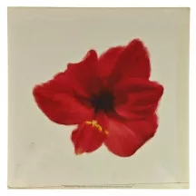 Reprodukciós nyomat 30x30cm – Petales Rouges I