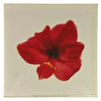 Reprodukciós nyomat 30x30cm – Petales Rouges I