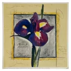 Reprodukciós nyomat 18x18cm – The Pride