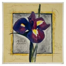 Reprodukciós nyomat 18x18cm – The Pride