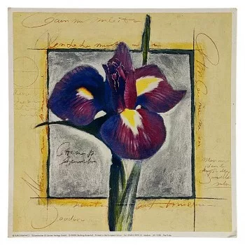 Reprodukciós nyomat 18x18cm – The Pride