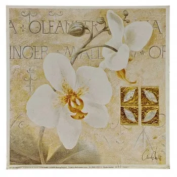 Reprodukciós nyomat 18x18cm – Orchid II