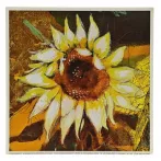 Reprodukciós nyomat 18x18cm – Come with the Wind