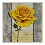 Reprodukciós nyomat 18x18cm – Symbol of Love