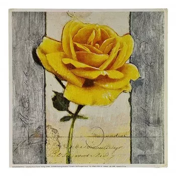 Reprodukciós nyomat 18x18cm – Symbol of Love