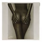 Reprodukciós festmény 30x30cm – Beauty