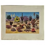 Reprodukciós nyomat 20.3x25.3cm – Bush