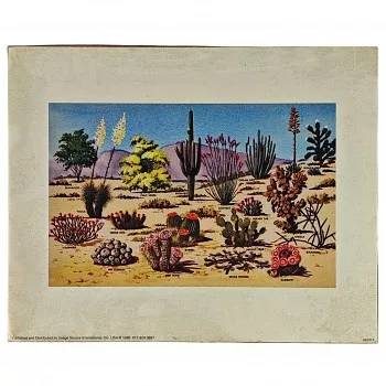 Reprodukciós nyomat 20.3x25.3cm – Bush