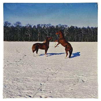 Reprodukció nyomat 28x28cm – Horses