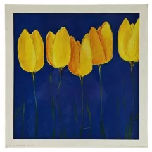 Reprodukció nyomat 25x25cm – Yellow Tulips
