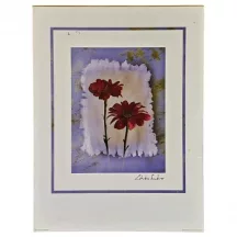 Reprodukció nyomat 30x40cm – E. Sardano