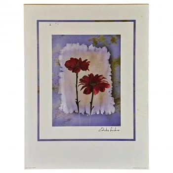 Reprodukció nyomat 30x40cm – E. Sardano