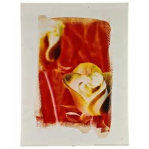 Nyomat 30x40cm – The Colours of Summer