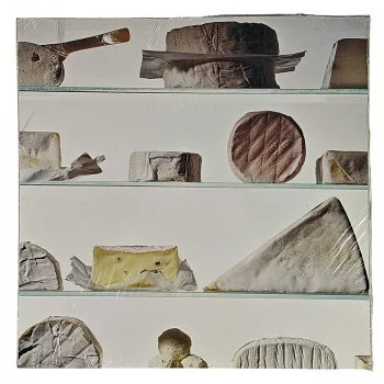 Reprodukció nyomat 28x28cm – Cheese