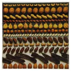 Reprodukció nyomat 28x28cm – Nuts