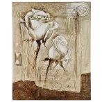 Nyomat 40x50cm – Roses