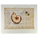 Reprodukció nyomat 40x50cm – Pearlboat