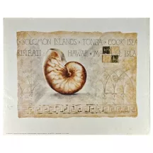 Reprodukció nyomat 40x50cm – Pearlboat