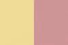 Renesans Akril 100ml  73 Bicolor yellow-red