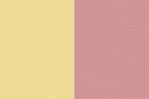 Renesans Akril 100ml – 73 Bicolor yellow-red