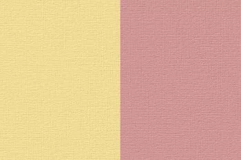 Renesans Akril 100ml  73 Bicolor yellow-red