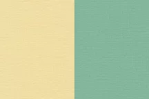 Renesans Akril 100ml – 74 Bicolor yellow-green