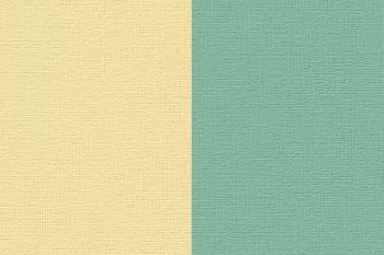 Renesans Akril 100ml  74 Bicolor yellow-green