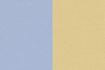 Renesans Akril 100ml  75 Bicolor yellow-blue