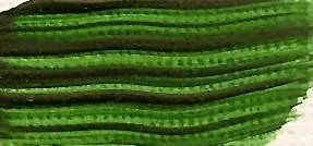 Renesans Akril 100ml 18 Leafy greens Renesans Akril 100ml 18 Leafy greens
