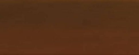 H2Oil printing ink 60ml – 09 sepia