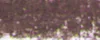 lágy pastels Renesans  113 Van Dyck's dark brown
