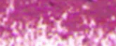Puha pasztell Renesans 43 Ibolya bordeaux Puha pasztell Renesans 43 Ibolya bordeaux