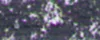 lágy pastels Renesans 75 Payne's sötét szürke lágy pastels Renesans 75 Payne's sötét szürke