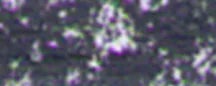 lágy pastels Renesans – 75 Payne's sötét szürke