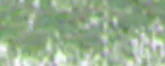 lágy pastels Renesans  81 Jawa greens