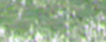 lágy pastels Renesans – 81 Jawa greens