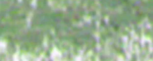 lágy pastels Renesans  81 Jawa greens