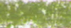 lágy pastels Renesans 92 Leafy greens lágy pastels Renesans 92 Leafy greens