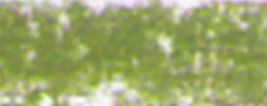 lágy pastels Renesans 92 Leafy greens lágy pastels Renesans 92 Leafy greens