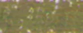 lágy pastels Renesans  93 Golden foliage