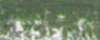 lágy pastels Renesans  94 Earth green