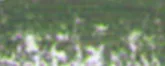 lágy pastels Renesans  94 Earth green