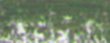 lágy pastels Renesans – 94 Earth green