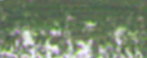 lágy pastels Renesans 94 Earth green lágy pastels Renesans 94 Earth green