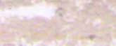 lágy pastels Renesans 98 szürke pink light lágy pastels Renesans 98 szürke pink light