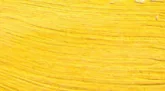 Restaurátorfesték Renesans 20ml  05 Nápolyi sárga